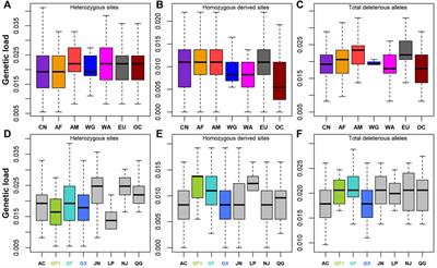 Genome-Wide Estimates of Runs of Homozygosity, Heterozygosity, and Genetic Load in Two Chinese Indigenous Goat Breeds